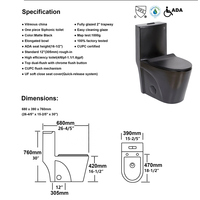 Ensemble WC et lavabo de luxe en céramique OVS CUPC, à siphon en S, monobloc à double siphon 4L/6L pour sanitaires nord-américains