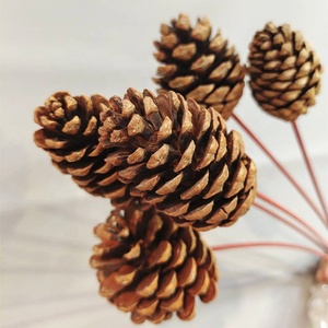 Factory Supple Dried Flower Pine Cone Real Natural Dried <strong>Pinecone</strong> for Christmas Decoration - Product Image 1