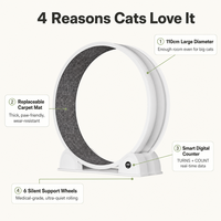Roue d'exercice intelligente pour chat avec affichage numérique, compteur de tours, suivi des calories, 110 cm, ABS, silencieuse