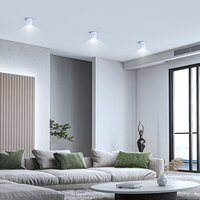 15W Noir Pliant Led Downlight Haut et Bas Angle Pliable Vers Le Bas Lampe 3 Couleurs Dimmable Downlights/Spot Light/Led Spot Lights