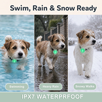 Couleurs de corps personnalisables, étanche IPX7, lumière LED rechargeable pour chien, lumière de sécurité nocturne, pendentif lumineux pour collier de chien