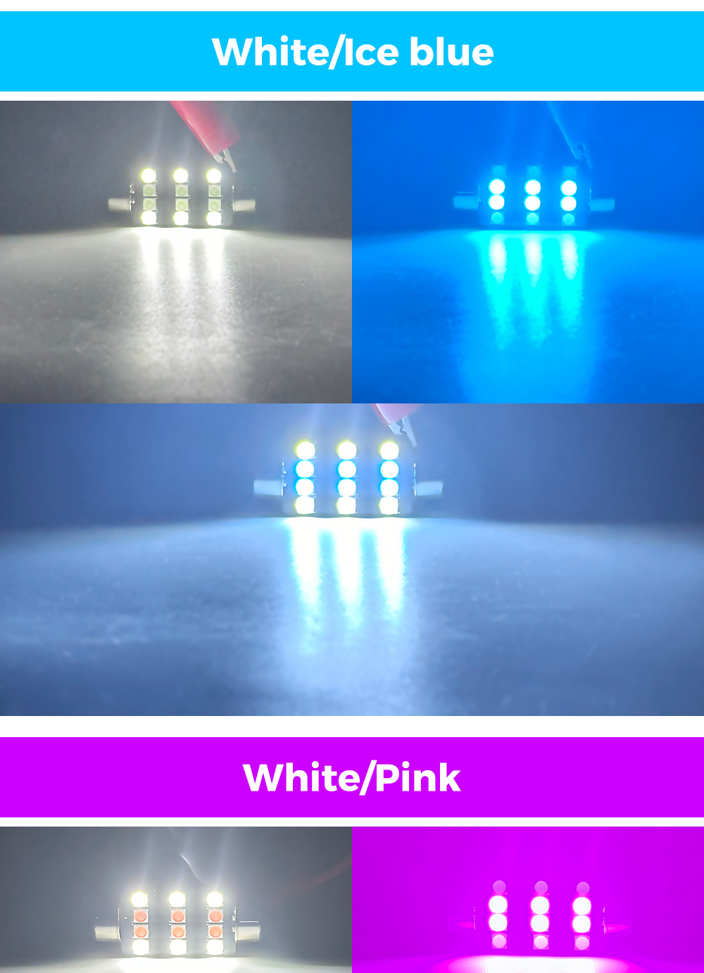White+Ice Blue