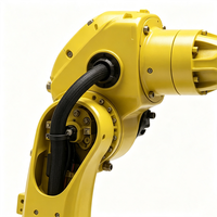 Solution de robot industriel à 6 axes personnalisée pour la manutention et la palettisation automatiques