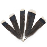 En gros pas cher sauvage Barred dindon queues aile plume plume pour mouche attachant artisanat indien coiffure décorations