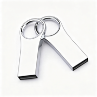 Clé USB en métal avec logo personnalisé, 2 Go, 4 Go, 8 Go, 16 Go, 32 Go, 64 Go, 128 Go, USB 2.0, haute vitesse, clé USB, disque mémoire
