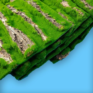 Panneau mural rectangulaire en écorce naturelle pour terrarium, simulation de mousse, pour reptiles et amphibiens, vente en gros - Product Image 6