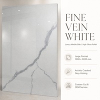 Dalle de pierre frittée polie Venatino blanche avec veine grise fine pour comptoir, mur, sol et décoration intérieure