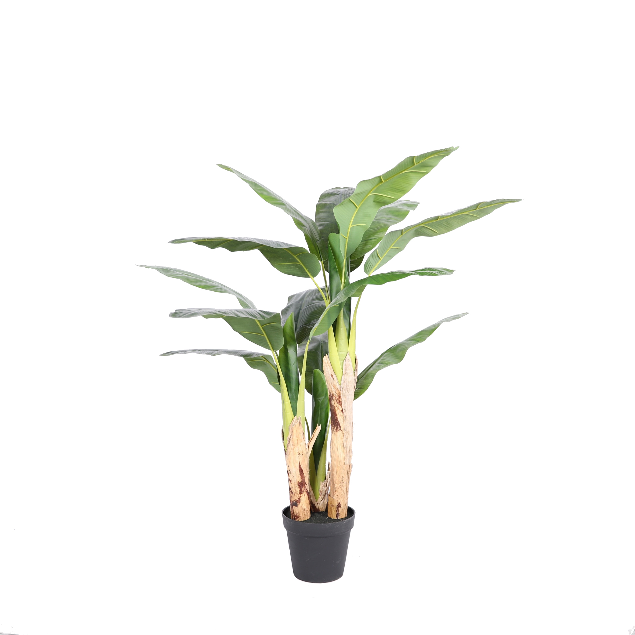 160 ซม. พร้อมไม้จริง