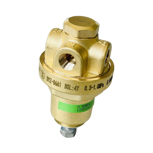 Regulador de Gas Licuado Criogénico DYZ06A para Cilindro - Product Image 3
