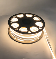 Tira de Luz LED de Neón de PVC Curvada y Moldeable, Alto CRI 90, Emisión de Luz Uniforme, Sombra 3000K, Blanco Cálido, Fácil Instalación para Stand