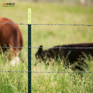 Poste de Acero Pintado de Verde de Alta Calidad con Pernos en Forma de T para Cercas Agrícolas - Product Image 4