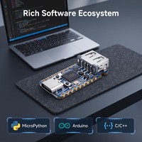 Carte de développement mini USB-A TISHRIC Raspberry Pi Pico 2 RP2350, microcontrôleur double architecture 150 MHz RP2350A en métal
