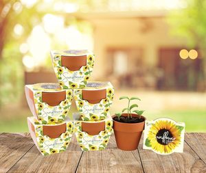 BUZZY <strong>Seeds</strong> Eco-friendly Modern Terracotta Mini Grow Pots Herb Flower Starter Kit for Kids Adults Sunflower Diy Plant Kit - Product Image 4