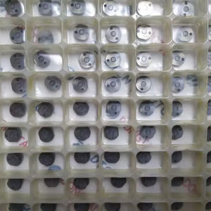 Dens-oバルブプレート6 #10 #4 #36 #507 #517 #<span class=keywords><strong>2</strong></span> #7 #295040-6110 295040-6120 - Product Image 2