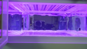 Lámpara LED UV de 4 longitudes de onda con caja de curado, <span class=keywords><strong>purga</strong></span> de nitrógeno sin oxígeno, calentamiento de 810nm para sellado de módulos de batería - Product Image 5