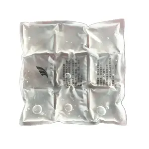 Gel frio Refrigeração freezer embalagens de Gel personalizado Reutilizável seco bloco de gelo fresco pacote/saco de gelo