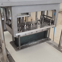 Machine automatique à fabriquer la pâte à raviolis 10mm/et les emballages Wonton Ressort