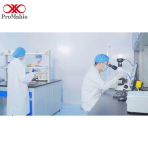 Solution de régénération de membrane pour blotting protéique, Tampon de décapage d'anticorps, Pureté normale, Réactifs de laboratoire 100ml/500ml 2-8°C pour - Product Image 2