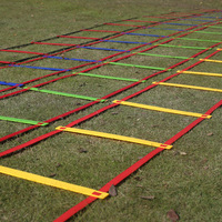Échelle de vitesse agile pour l'entraînement de football, 12 sections, en plastique souple et écologique, 6m, pour le basketball, les obstacles, le sport, la remise en forme et la course à pied