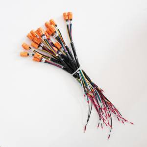 Maßgefertigter Kabelbaum für Elektroroller - Product Image 2