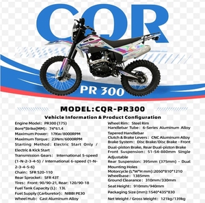 GX-CQR-PR300 21HP Motor de 4 Tiempos Monocilíndrico Refrigerado por Aire 300cc Motocicleta Todoterreno Tanque de Combustible de 13L Carburador NIBBI PE30 Transmisión de 6 Velocidades SFR <span class=keywords><strong>520</strong></span> - Product Image 2