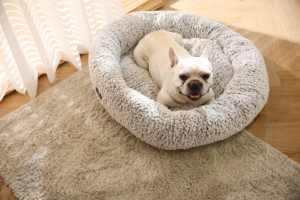 셀프 워밍 고양이 침대 핫 세일 500000개 애완동물 제품 액세서리 셀프 히팅 고양이 개 침대 미끄럼 방지 바닥 - Product Image 4