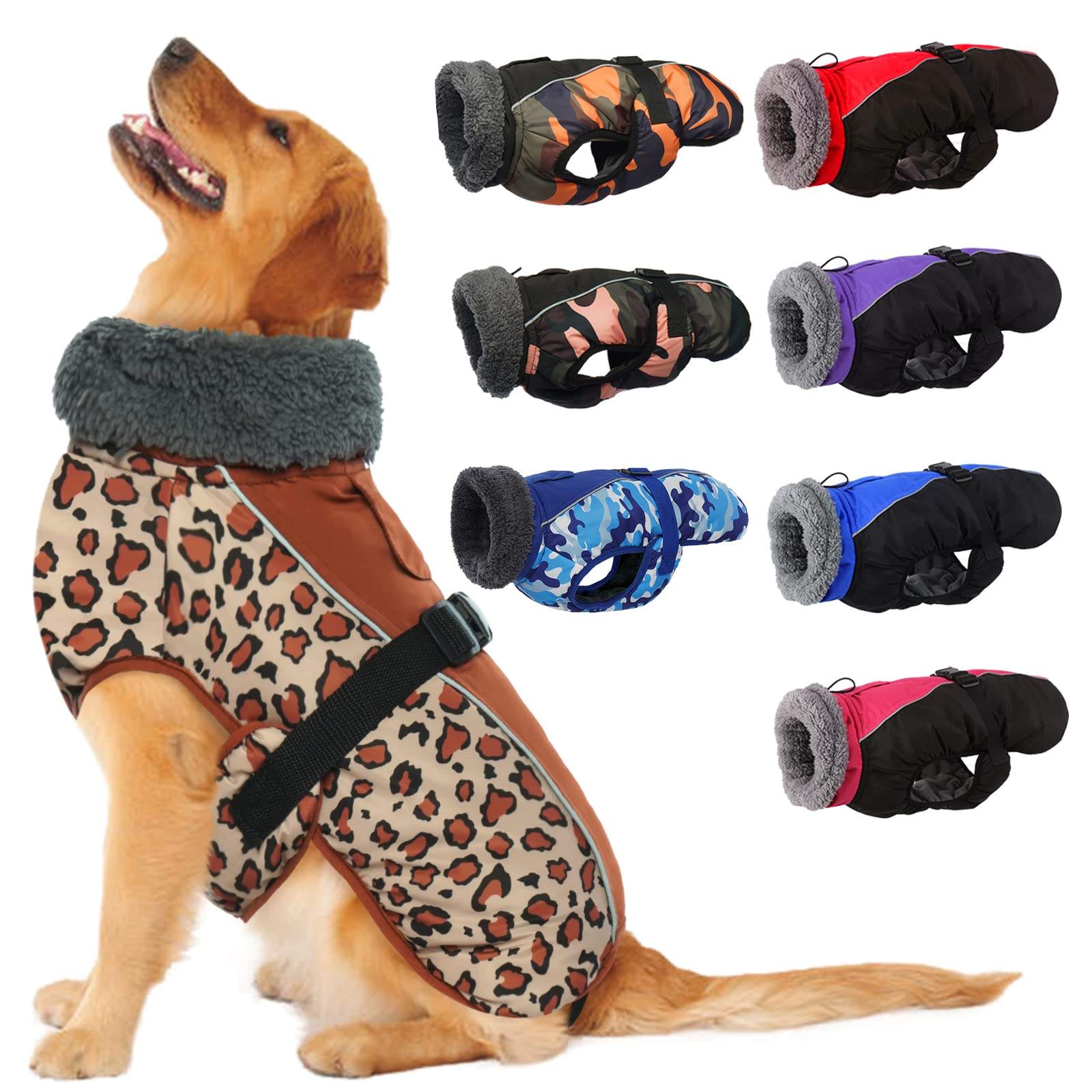 เสือดาว