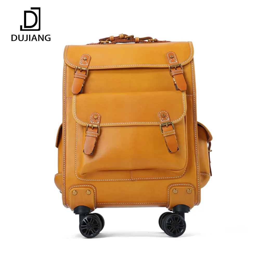 DUJIANG Multifunction Trolley Cosmetic Case Rolling Luggage Travelling Bags Luggage Trolley Cases Travel Duffel Bags