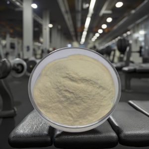 Complément alimentaire en poudre de probiotiques à haute puissance, Akkermansia Muciniphila AH39, matière première brute, pour la santé - Product Image 1