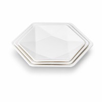 Assiette hexagonale élégante en mélamine pour la restauration moderne