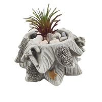 Pot de fleurs en béton minimaliste moderne de petite taille pour plantes succulentes, pour l'intérieur et l'extérieur