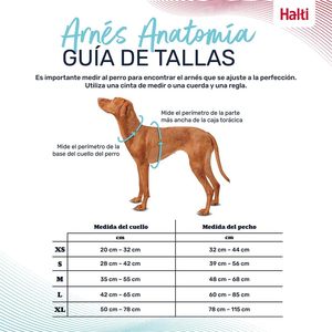 Harnais pour chien HALTI Anatomy avec poignée, mouvements libres, promenades confortables, 3 points d'attache, rembourrage en néoprène, fermeture à pression - Product Image 4