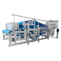 Industriële 20 ton per uur bandtransport sapcentrifuge machine, hoge capaciteit appel- en perensap extractor productielijn