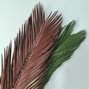 <span class=keywords><strong>Cycas</strong></span> <span class=keywords><strong>Revoluta</strong></span> สำหรับจัดงานแต่งงานดอกไม้ที่เก็บรักษาไว้ตามธรรมชาติ - Product Image 4
