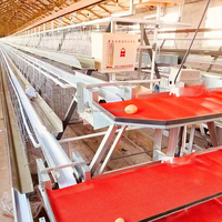 Nouvelles cages à poules automatiques de type A en acier inoxydable pour 96 oiseaux |   Système d'élevage avicole à haute capacité