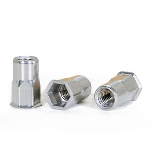 Thép không gỉ rivnut số liệu <span class=keywords><strong>SS304</strong></span> ren chèn nutsert chèn hạt/đầy đủ <span class=keywords><strong>Hex</strong></span> mù đinh tán hạt - Product Image 5