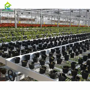 Greenhouse Hydroponic Projects Culturing Ebb Flow Benches Table Seedbed Rolling Bench