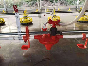 เครื่องให้น้ำไก่สำหรับเป็ดนกกระทานกพิราบและลูกไก่ - Product Image 5