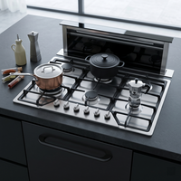 Cuisinière électrique encastrable 6 brûleurs en acier inoxydable, allumage électronique, multifonctionnelle, 36 pouces, efficacité énergétique domestique