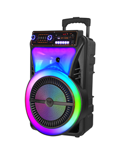 8 inch Big Bass điện xe đẩy loa với RGB LED chiếu sáng cho home & bên bán hàng nóng với có dây hoặc Micro không dây - Product Image 5