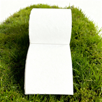 Rouleau d'étiquettes d'expédition thermiques autocollantes en papier plastique imperméable 4x6 pouces pour la promotion 500 feuilles/rouleau Personnalisable