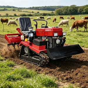 Fresatrice Rotativa Diesel <span class=keywords><strong>per</strong></span> Trattore Agricolo, PTO, <span class=keywords><strong>per</strong></span> Semina Patate, Ricambi <span class=keywords><strong>per</strong></span> Motozappe, Vendita all'Ingrosso - Product Image 3