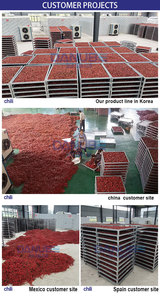 Deshidratador Industrial de Chiles, Cámara de Secado de Pimientos Picantes, Equipo para Eliminar la Humedad de Vegetales - Product Image 4