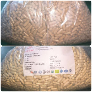 Fabbrica JHD all'ingrosso solubile in acqua Graviola Soursop succo di frutta in polvere - Product Image 5