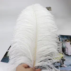 Factory Original white ostrich feathers 35-40 cm for crafts and home decoration