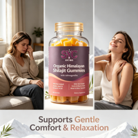 Gummies de Shilajit de l'Himalaya Sauvage SYC BIO, 60 unités, à base de plantes, riches en acides fulviques et humiques, sans gluten, complément alimentaire quotidien