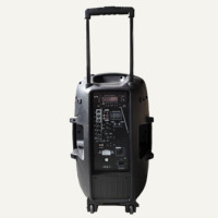 Système de sonorisation professionnel 250W avec haut-parleur de graves 15 pouces, entrée CA 220-240V, amplificateur actif, enceinte en plastique pour extérieur