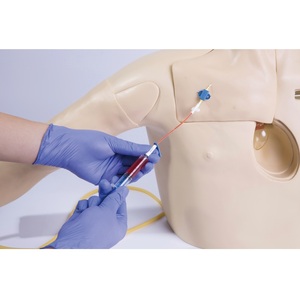 Simulador de cateterización venosa <span class=keywords><strong>central</strong></span>, simulación médica realista, este simulador ofrece un método rentable - Product Image 4