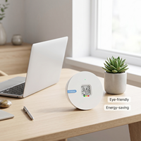 Moniteur numérique de radon RN-300C pour les services d'inspection immobilière |   Testeur de radon continu professionnel à encre électronique pour l'immobilier