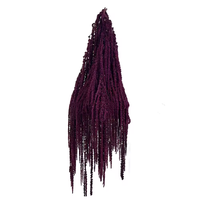 Fleurs suspendues d'Amaranthus Caudatus préservées dans la glycérine, en gros, 60-100 cm de long, bouquet décoratif séché pour mariage et fête